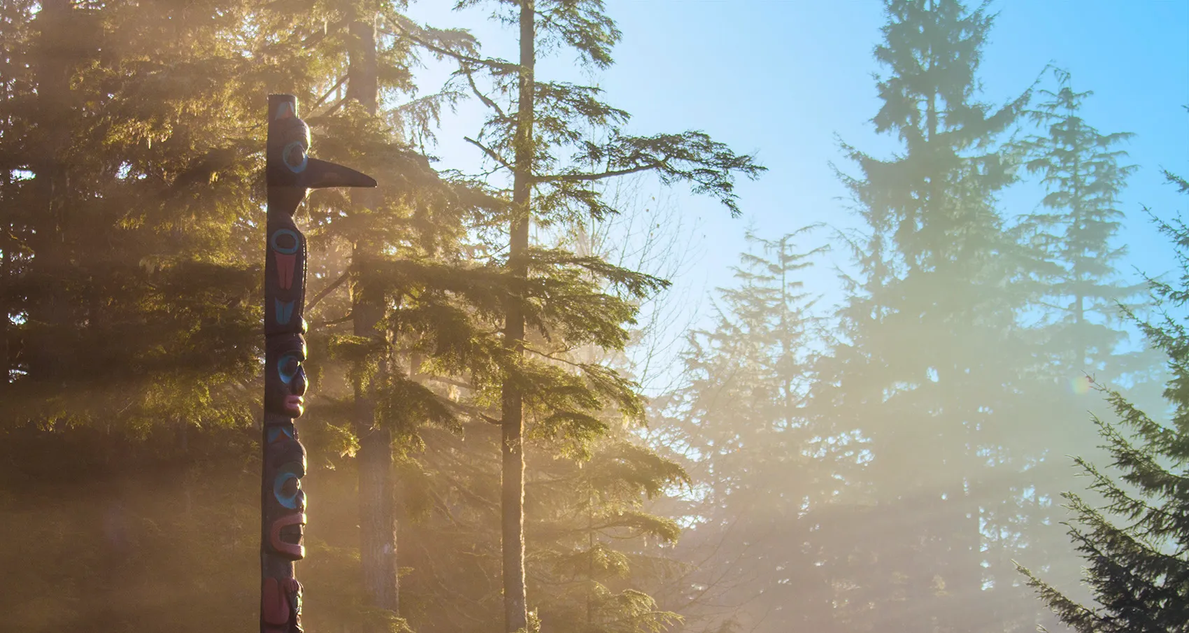 Foggy totem pole in Southeast Alaska forest sunlight